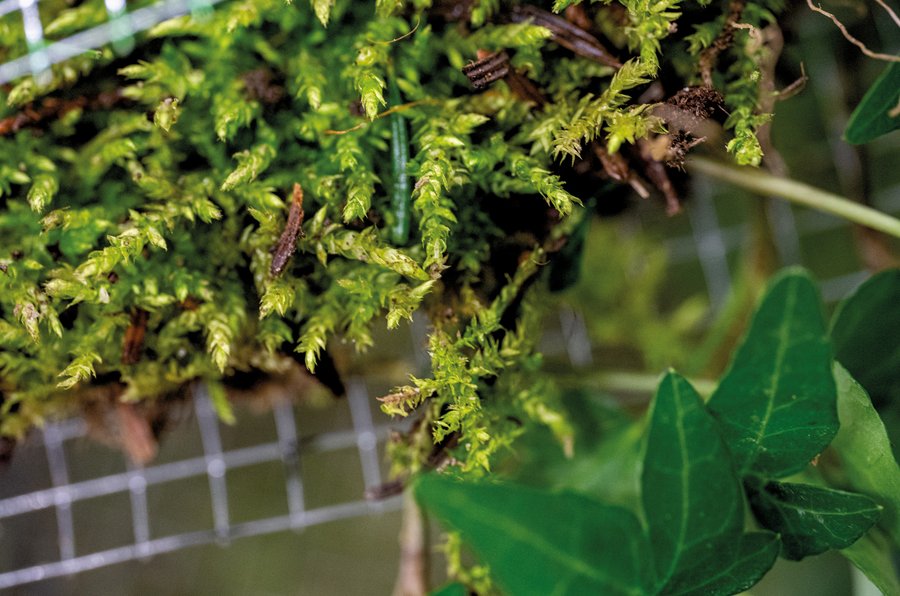 Eco Arc des Projekts Transformative Spaces